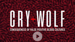 cry-wolf-screenshot-250-play